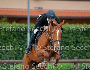 Rossi Quinza Saura GioCav2013 S5 4276 : Campionati Italiani Giovani Cavalli, Cattolica, Quinza Saura, Rossi Andrea, ph Stefano Secchi ©